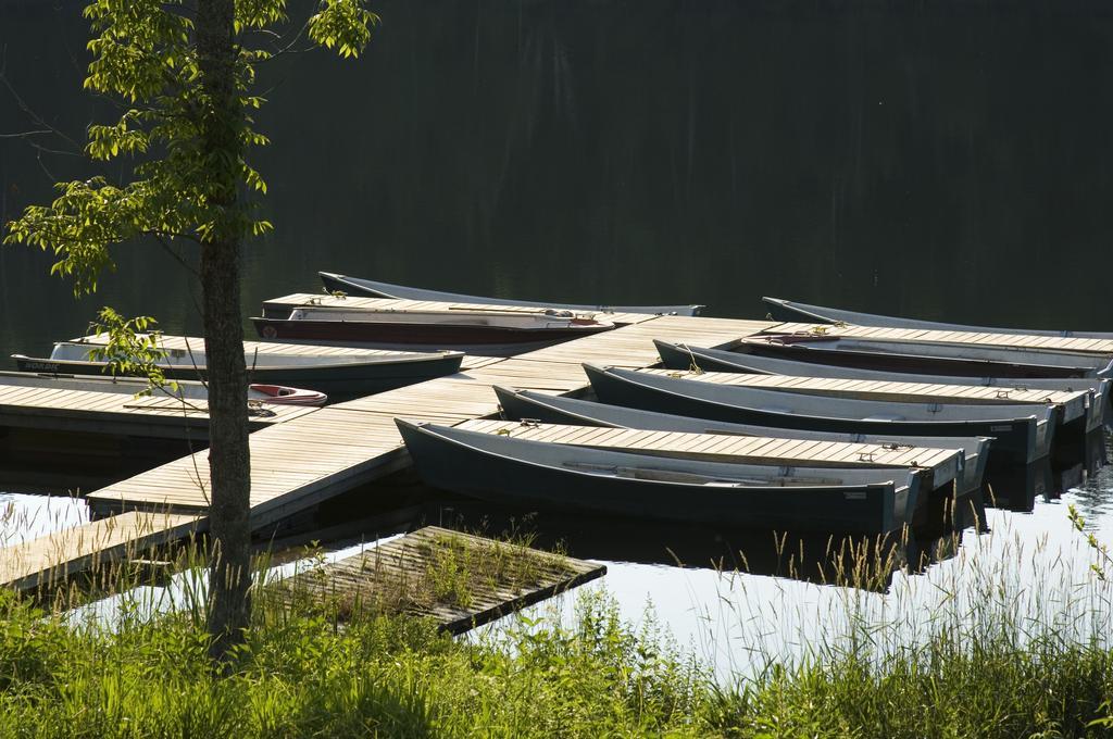 Auberge Du Lac-A-L'Eau-Claire Saint-Alexis-des-Monts Eksteriør billede